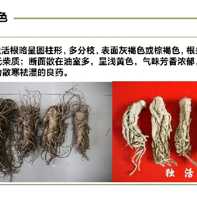 商家头像