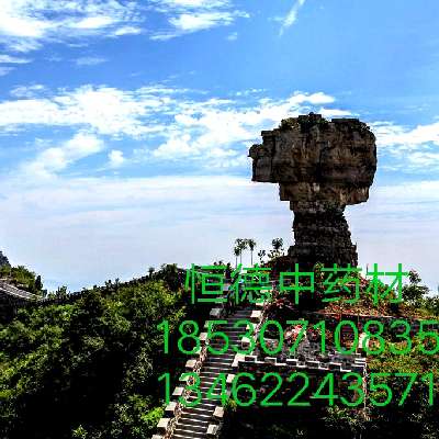 商家头像
