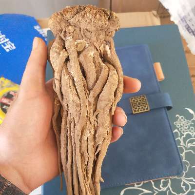 商家头像