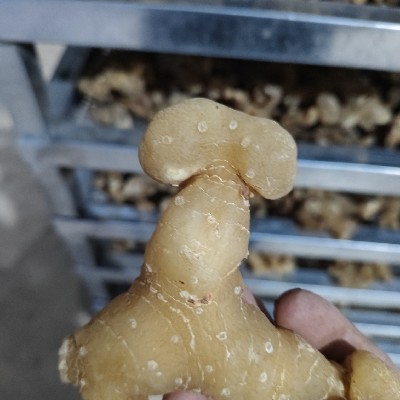 商家头像