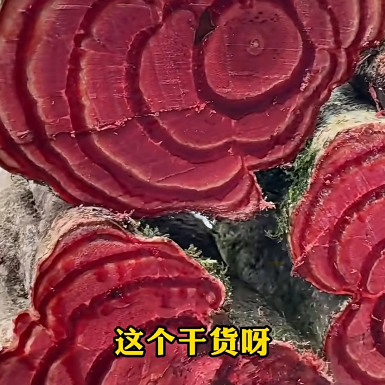 商家头像