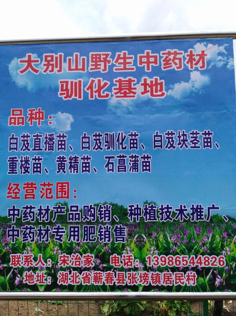 商家头像