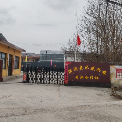 商家头像